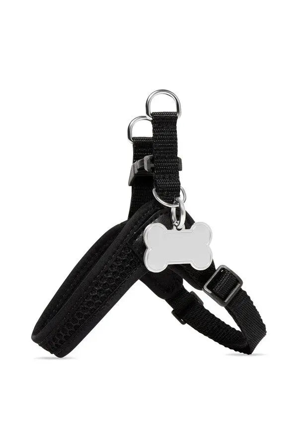 Balenciaga Dog Harness