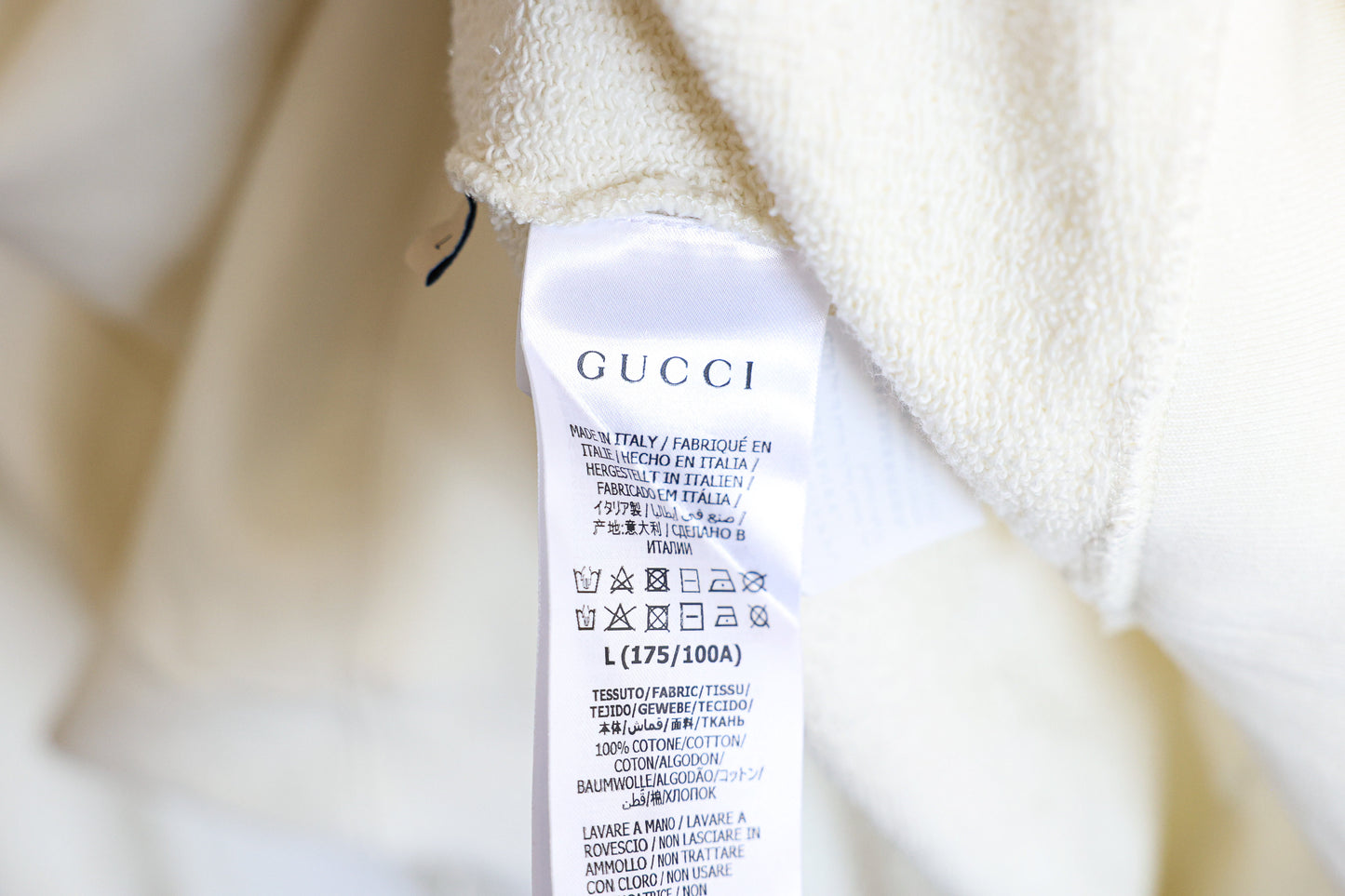 Gucci x The North Face Oversized Sweatshirt