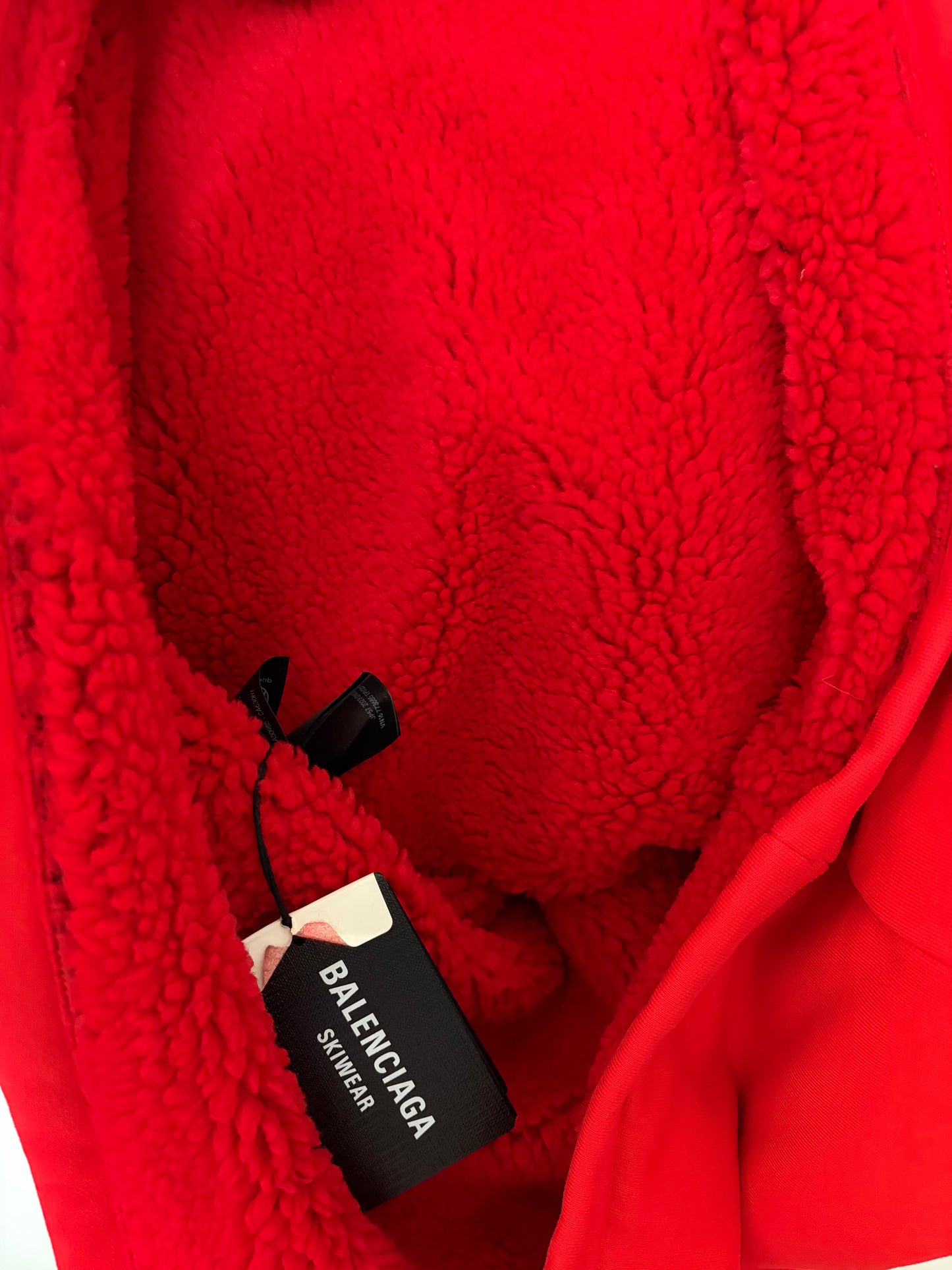 Balenciaga Ski Wear Hoodie