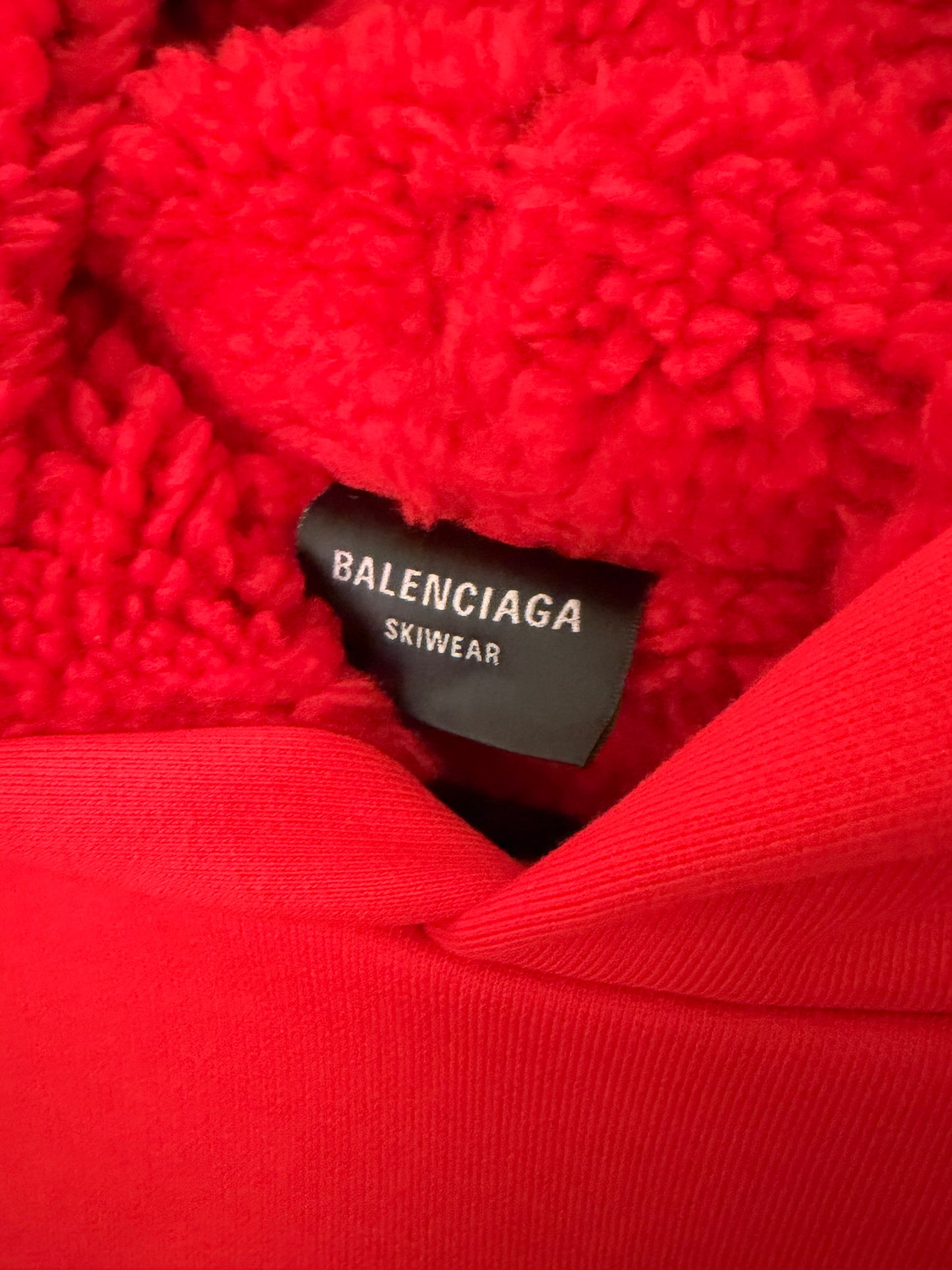 Balenciaga Ski Wear Hoodie