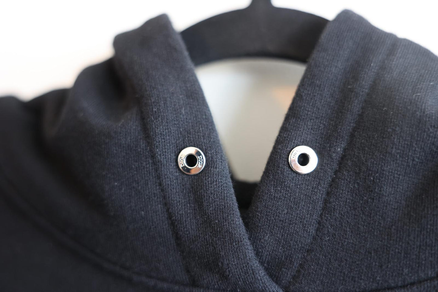 Dior x Kaws Hoodie Press Sample