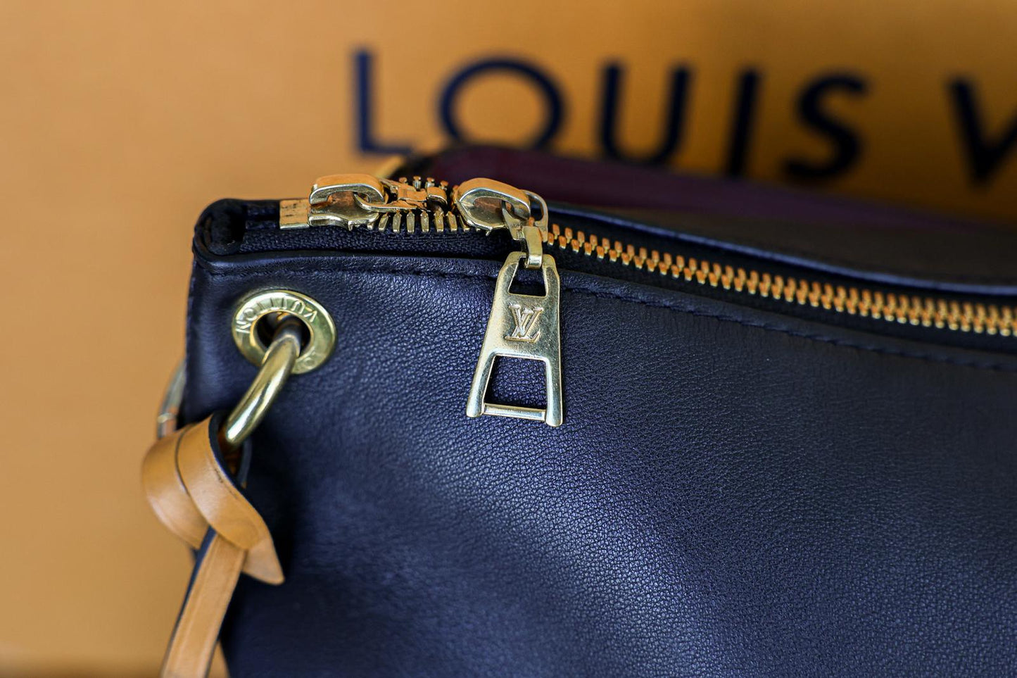 Louis Vuitton Damier Ebene 2 Way